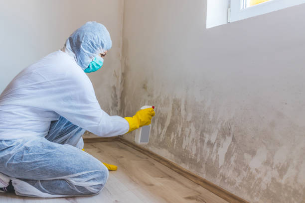 Bathroom Mold Removal assessment in Hendersonville bathroom