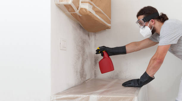 Attic Mold Remediation treatment on roof deck in Hendersonville